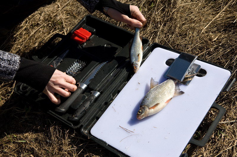 Набор "Рыбная готовильня"